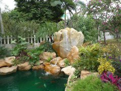 假山景觀(guān)2